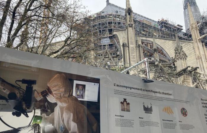 Notre-Dame de Paris avrà un giorno il suo museo?