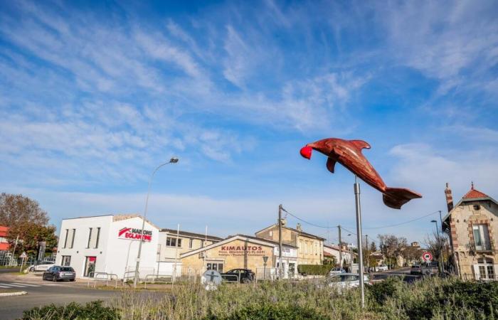 Saint-André-de-Cubzac, una città divisa tra l'Alta Gironda e la metropoli di Bordeaux