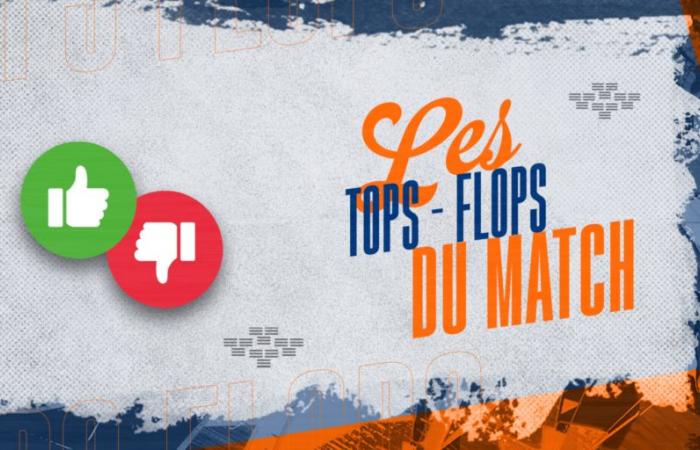 [MHSC-LOSC] Top e flop editoriali