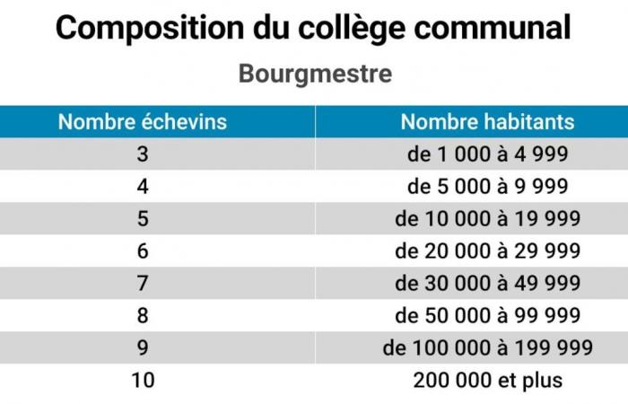 Collegio e consiglio comunale: come funziona e chi fa cosa?