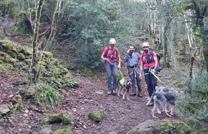 Tre cani abbandonati su una sporgenza rocciosa durante una battuta di caccia salvati dai vigili del fuoco