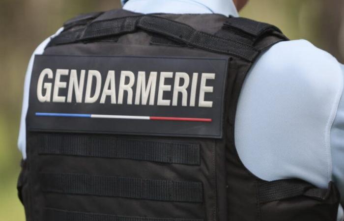 Drome. Scoperto il corpo di una donna vicino a un veicolo distrutto e bruciato