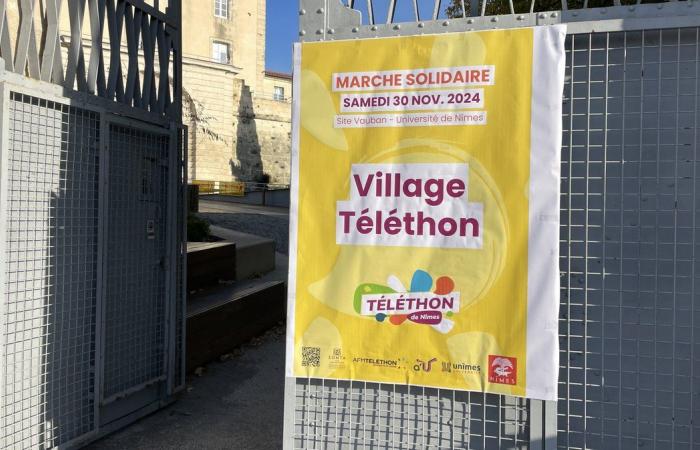 Gard si è mobilitato per Telethon