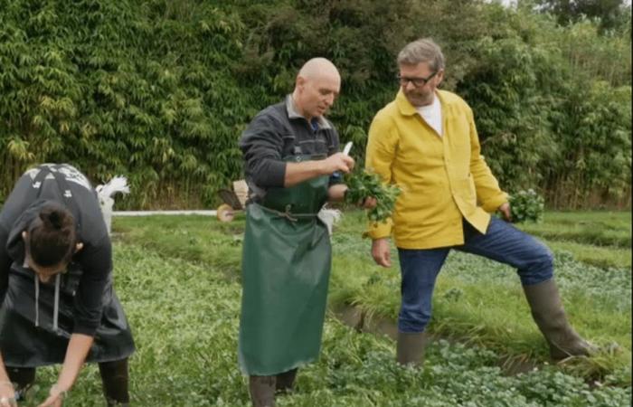 Sai dov'è l'Hurepoix? Scopri i segreti di questa regione poco conosciuta dell'Île-de-France