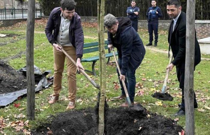 Piantare l'albero della libertà – Le Petit Journal