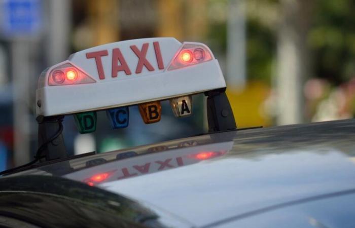 Si prevede che da 2.000 a 3.000 taxi bloccheranno Lione questo lunedì