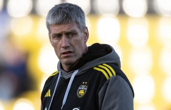 Top 14: “A Tolosa non succede”… Perché Ronan O'Gara prende ad esempio lo Stade Toulousain dopo il “grande schiaffo” ricevuto contro Vannes