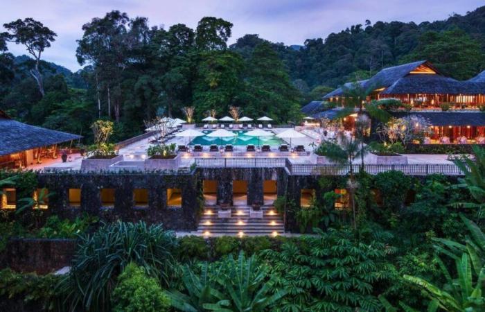 Hotel di lusso nella foresta pluviale malese mira all’eccellenza ambientale