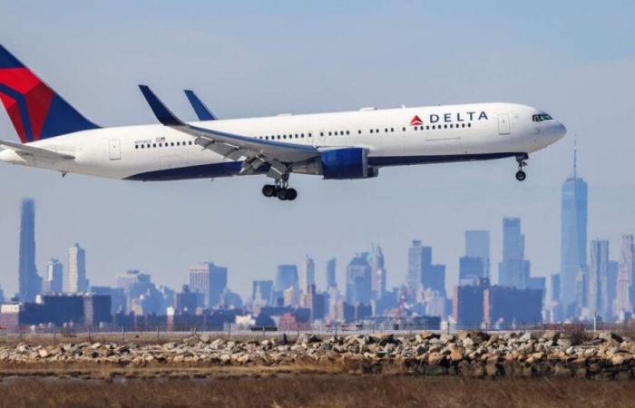 Una passeggera clandestina elude la sicurezza e riesce a prendere l’aereo da New York a Parigi: è disturbante e viene espulsa dal volo che la riporterà negli Stati Uniti