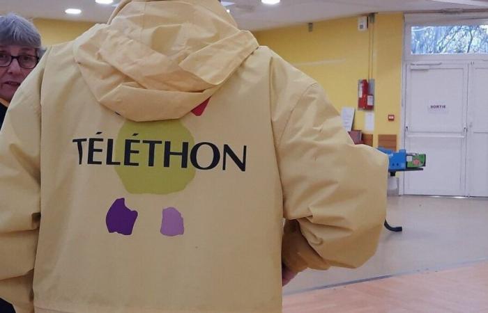 Telethon 2024: raccolti in Alvernia 480.989 euro