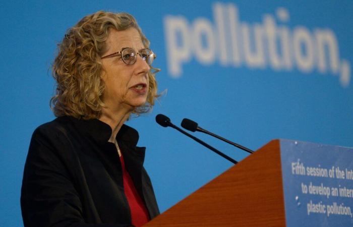 Trattato sulla plastica: Inger Andersen difende il risultato dei negoziati di Busan