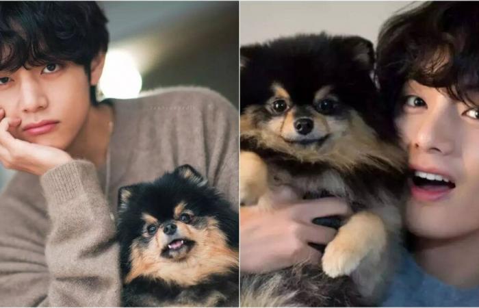 I BTS V scrivono un post straziante su Instagram in lutto per la morte del suo cane: “ARMY Loved Yeontan”