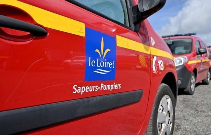 Incidente mortale, l’OLB che vince, la migliore maionese all’uovo del mondo… Il riepilogo del fine settimana nel Loiret