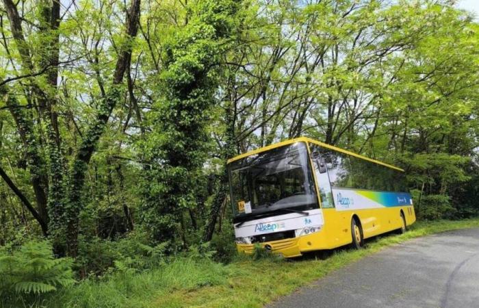 Un autobus nel fosso, diciassette giovani evacuati nel Maine-et-Loire