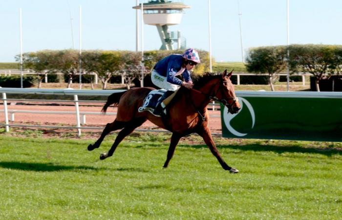 Lunedì a Cagnes – Prix Ucello II: Lafayette rispetta il suo contratto