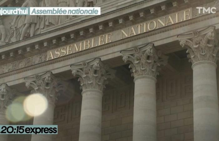 20:15 Express – Attivazione di 49.3: immersione nell’Assemblea Nazionale – Quotidiana