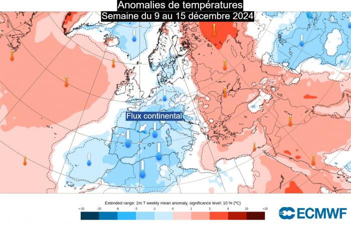 Ritorno del freddo nel fine settimana in Francia? 02/12/2024