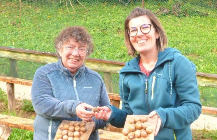 Paese di Clerval (25) Emilie Staub di Escargots de Montfort