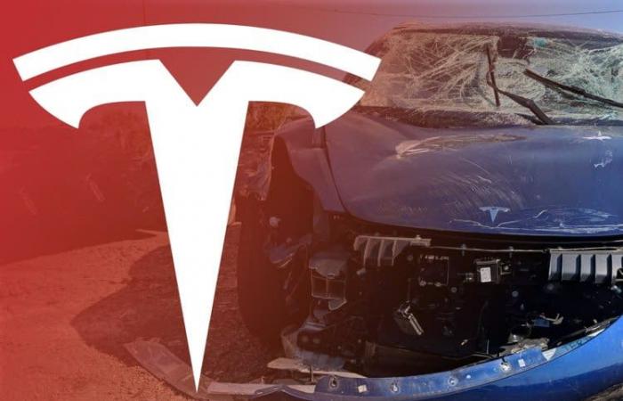 Tesla annuncia il suo aggiornamento di fine anno, con un'app watchOS e tante altre novità