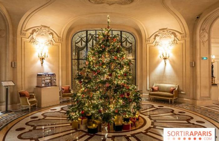 La top 10 degli alberi di Natale più belli di Parigi 2024: tanto da farti brillare gli occhi