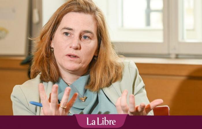 Formazione di Bruxelles: nessun veto del PS contro la N-VA ma contro la nota di Elke van den Brandt