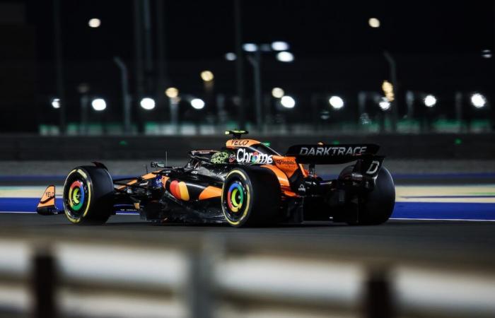 F1 – La penalità inflitta a Lando Norris in Qatar è stata troppo dura?