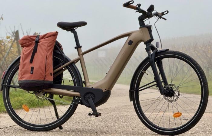 Decathlon propone un VTC elettrico con un motore straordinario