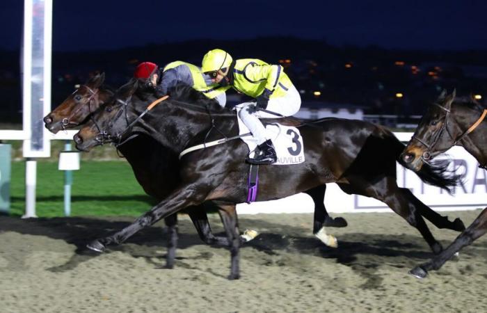 Premio Liutaio – Polytrack Challenge (L.): con un’aria da deja vu