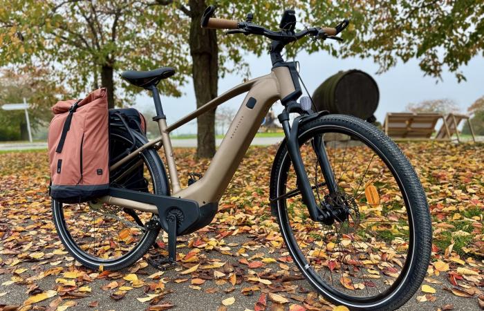 Decathlon propone un VTC elettrico con un motore straordinario