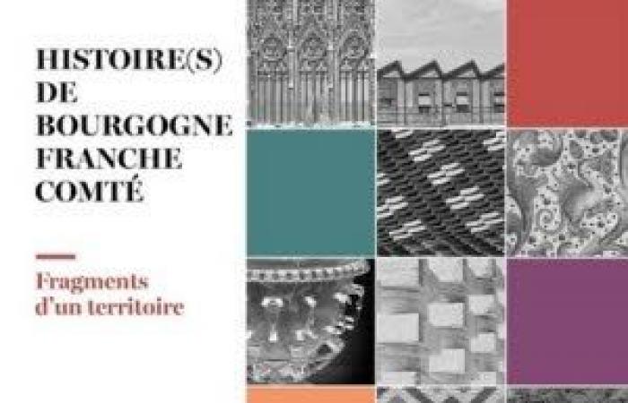 Incontro attorno al libro “Storia della Borgogna Franca Contea”: Conferenza a Besançon