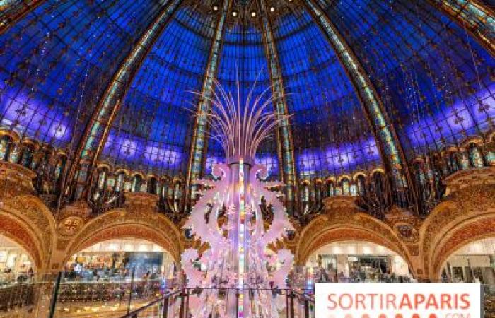 10 fantastici spot fotografici di Natale a Parigi 2024 per godersi le magiche illuminazioni