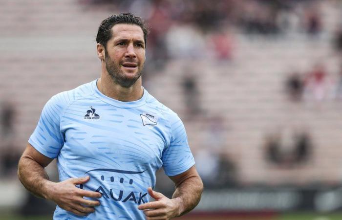 Trasferimenti Top 14 / Pro D2 – Maxime Machenaud tra Bayonne e Brive