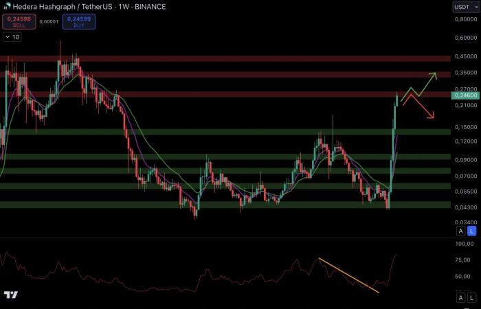 Esplosione a dicembre per le altcoin? – Criptovalute da tenere d'occhio