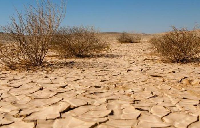 Apertura del convegno sulla desertificazione