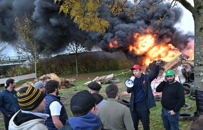 La rabbia degli agricoltori: rotonda in fiamme, albero di Natale davanti al DDT… la JA e la FDSEA del Gers si mobilitano nuovamente