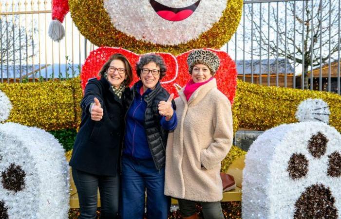 Mercatino di Natale di Morges