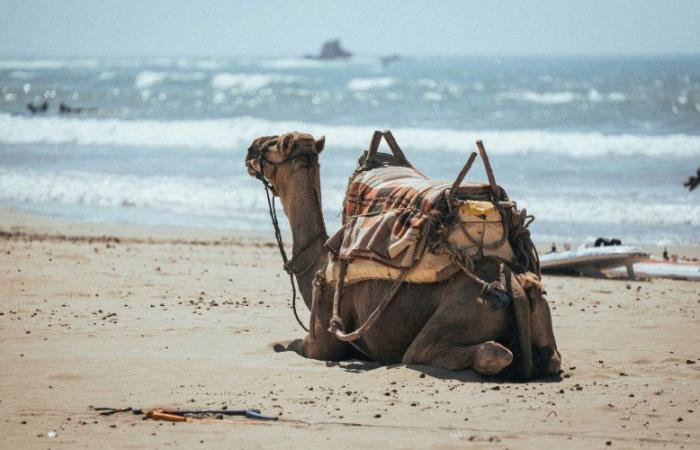 Afflusso di pensionati francesi ad Agadir