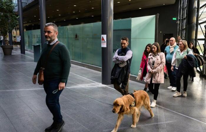 Francia: al processo per omicidio Victorine, un cane consola le vittime