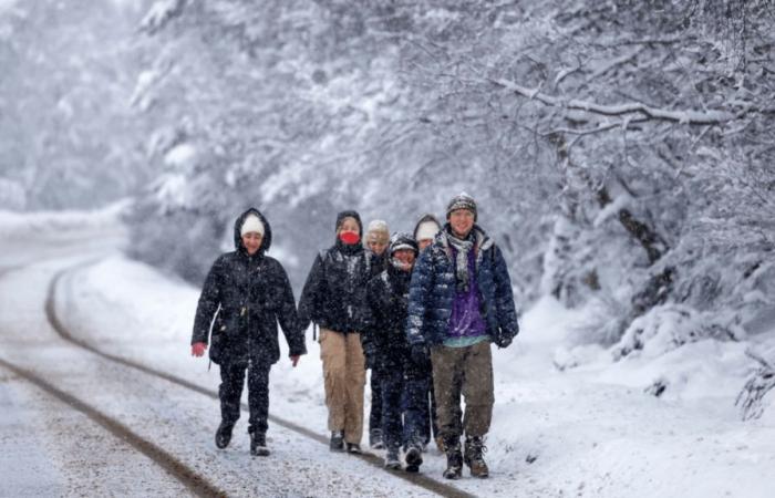 Il Met Office avverte gli scozzesi di prepararsi al dicembre più freddo degli ultimi anni, mentre l’esplosione artica porterà un muro di neve a giorni