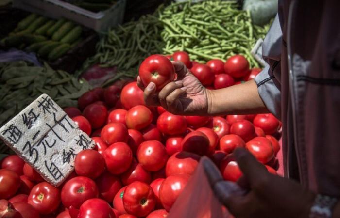 Marchi di concentrato di pomodoro legati al lavoro forzato in Cina