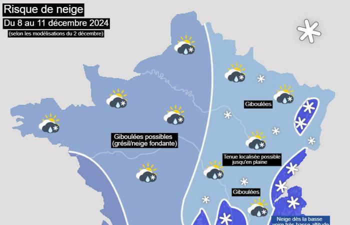 Ritorno del freddo nel fine settimana in Francia? 02/12/2024