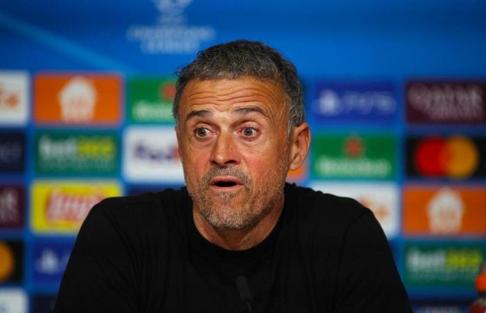 PSG: 800 ME per questo, Margot Dumont si vendica di Luis Enrique