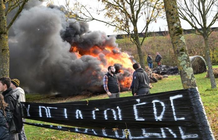 La rabbia degli agricoltori: rotonda in fiamme, albero di Natale davanti al DDT… la JA e la FDSEA del Gers si mobilitano nuovamente