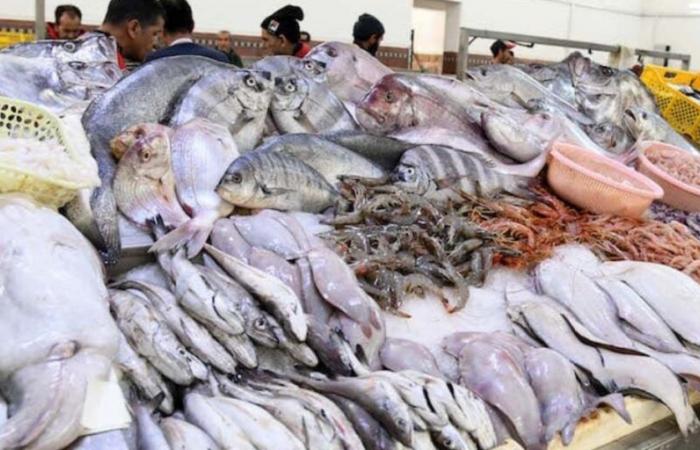 I prezzi del pesce raggiungono nuovi livelli, i marocchini sono indignati