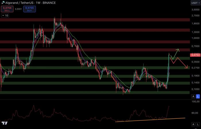 Esplosione a dicembre per le altcoin? – Criptovalute da tenere d'occhio