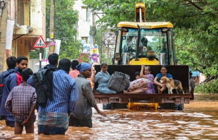 Il ciclone Fengal uccide 20 persone in Sri Lanka e India