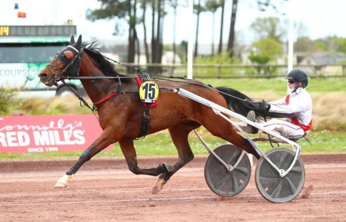 Cédric Bloquet si affida alla saggezza di Jizou d’Etang