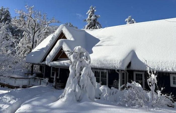 Guasti e chiusure stradali dopo 140 cm di neve in Ontario