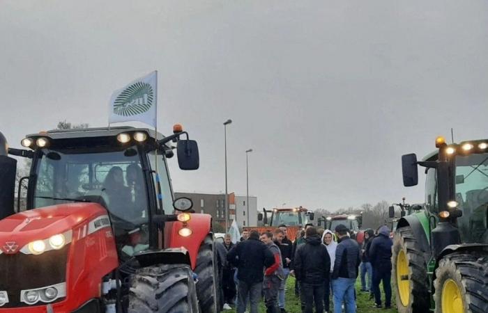 La rabbia degli agricoltori dell'Ille-et-Vilaine: una nuova mobilitazione