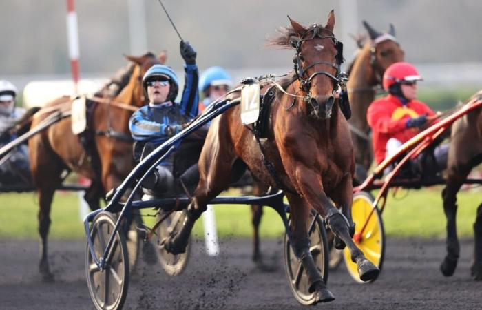 Iscrizioni al Ready Cash Prize e al Bourbonnais 2024 a Vincennes